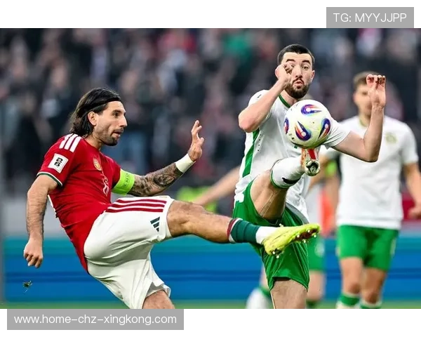 足球世界杯预选赛进入关键阶段，球队全力备战，足球世界杯预选赛规则